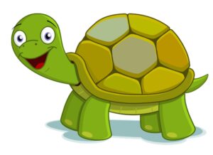 Tortue contente
